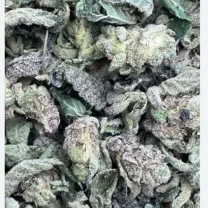 Exotic Shake – High-Quality Cannabis Shake