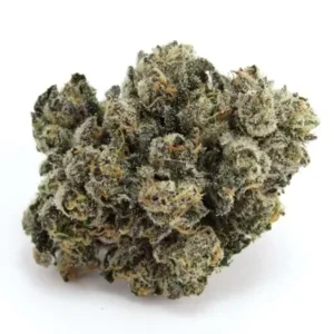 Blueberry Caviar – Premium Indica