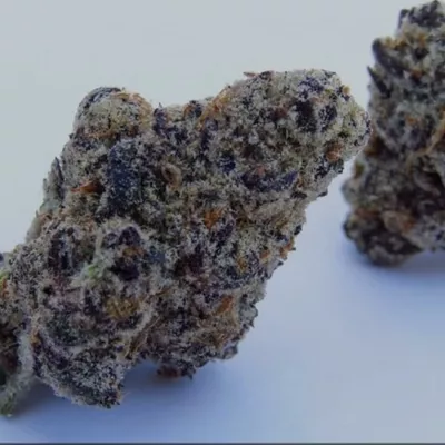 Lava Rock