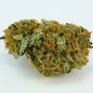 Bubba Kush – Heavy-Hitting Indica with Classic Chill