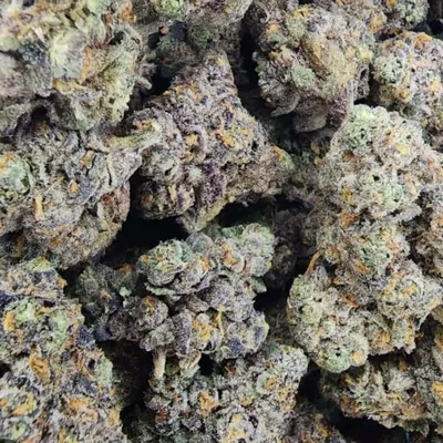 Rainbow Runtz (Exotic) – Candy Gas Hybrid Vibes