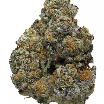 Monster Cookie (Indoor)