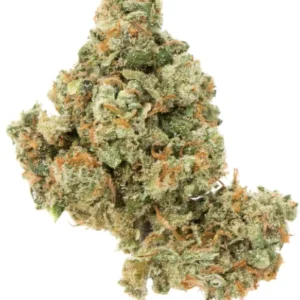 🌿 jack herer – legendary sativa hybrid strain