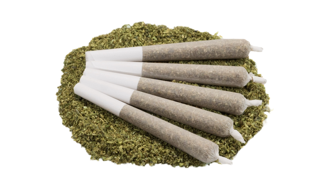 pre roll banner 1 1 1024x612